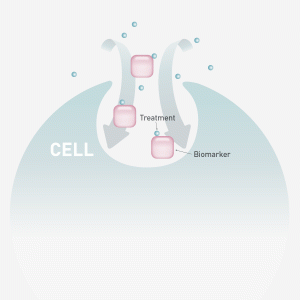 biomarker_support_cell_action